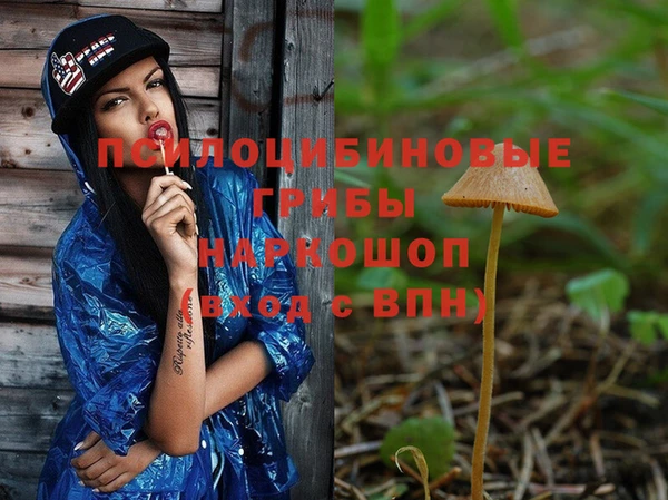 прущая мука Армянск