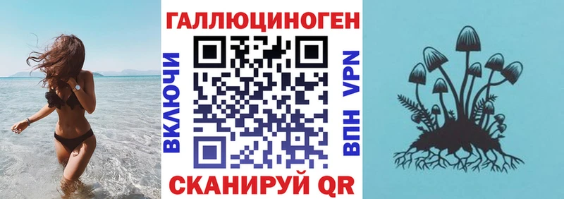 Псилоцибиновые грибы мицелий  как найти закладки  Усть-Джегута 